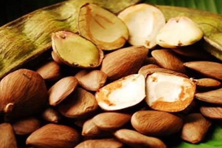 seeds
